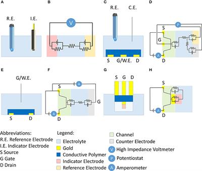 Organic Electrochemical <mark class="highlighted">Transistors</mark> as Versatile Analytical Potentiometric Sensors